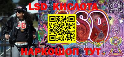 гашик Кандалакша