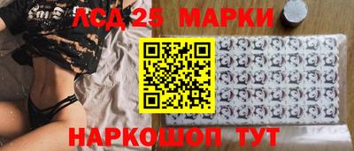 гашик Кандалакша