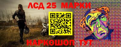 спиды Камышлов