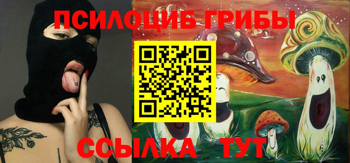 Псилоцибиновые грибы GOLDEN TEACHER Трёхгорный